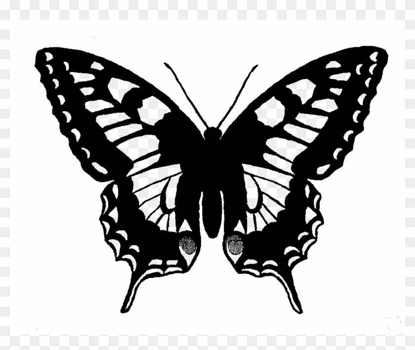 Butterfly Illustration - Skeleton With Butterfly Wings, HD Png Download ...