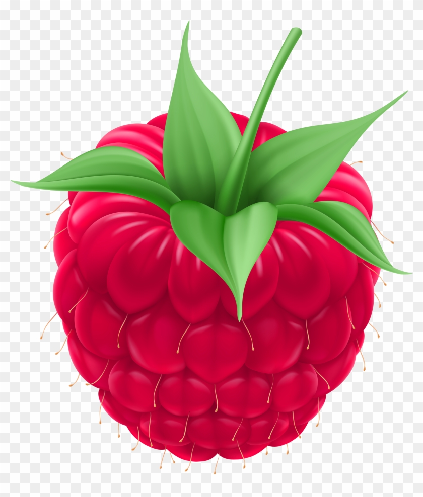 raspberry png clip art image raspberry clip art png transparent png 4436x5000 852591 pngfind raspberry clip art png transparent png