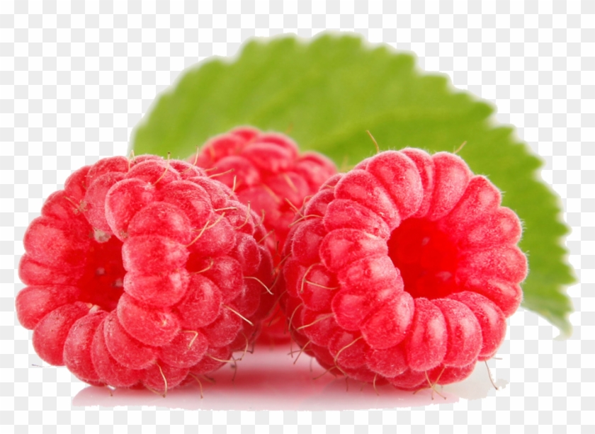 raspberry free png image raspberry png transparent png 970x970 852693 pngfind raspberry free png image raspberry