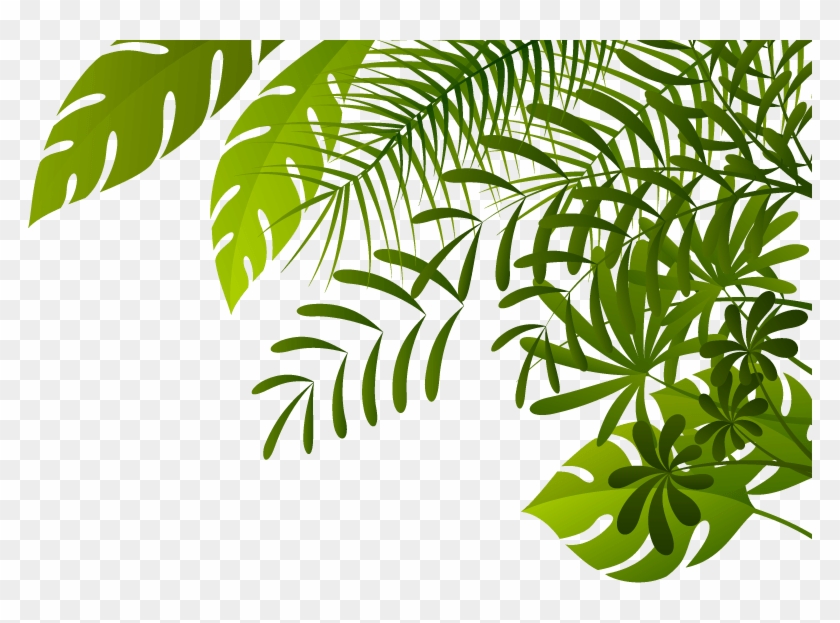 Jungle Png Image - Jungle Png, Transparent Png - 784x543(#852985) - PngFind