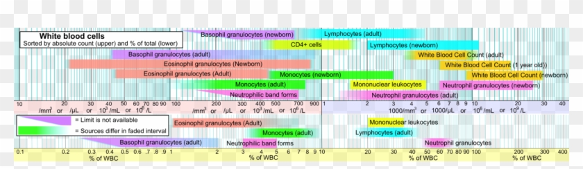 Example Of Reference Ranges For Blood Tests Of White - Difference ...