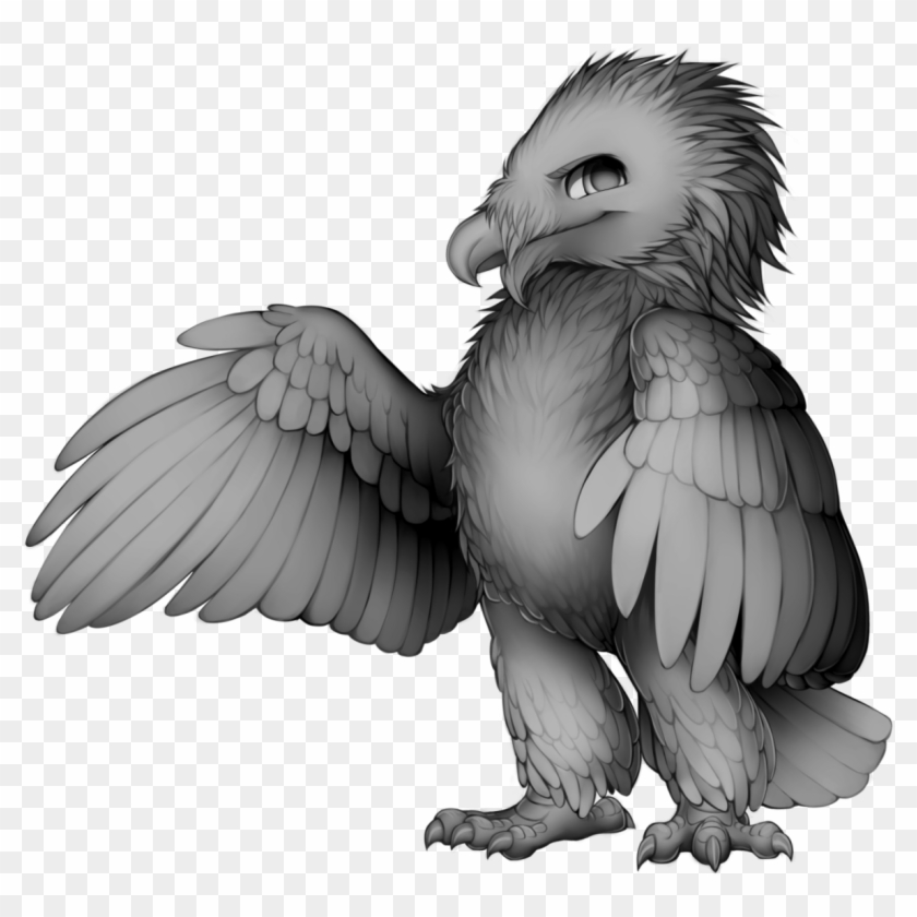 Parrot Wings Roblox Free Free Robux Generator 2019 Pc - 