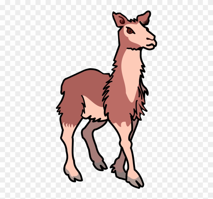 Llama Alpaca Download Computer Drawing Lama Clipart Hd Png Download 446x750 889179 Pngfind