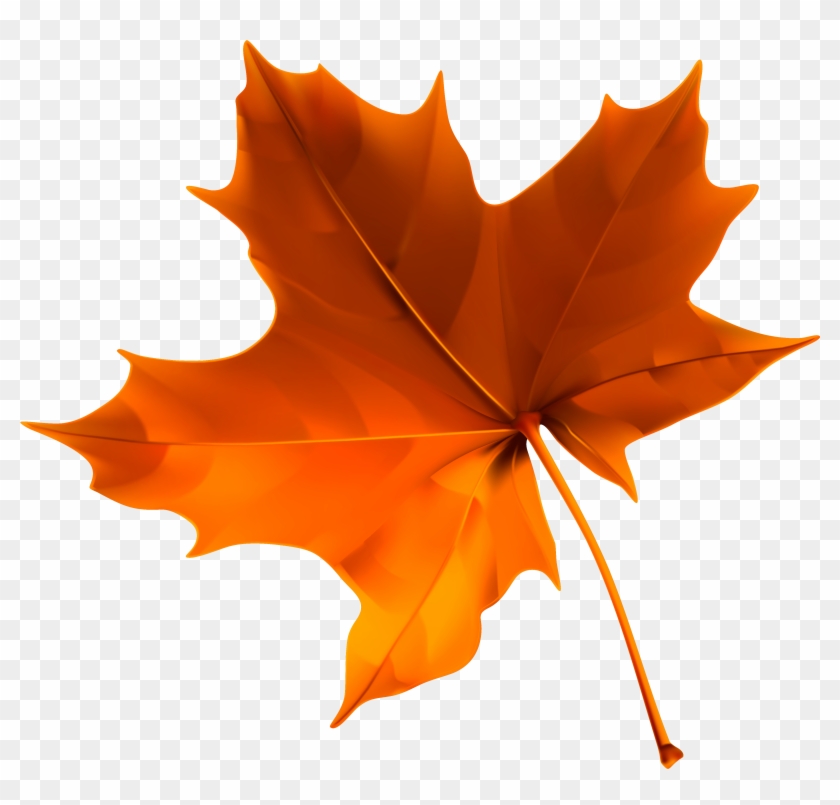 Autumn Red Leaf Png Clipart Image Clipart Autumn Leaves Png Transparent Png 4064x3745 Pngfind