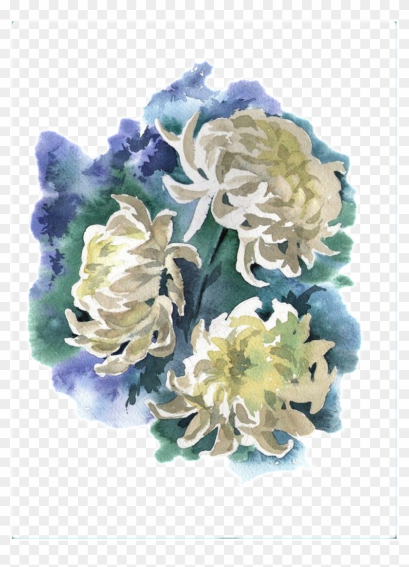 Цветы акварелью хризантемы