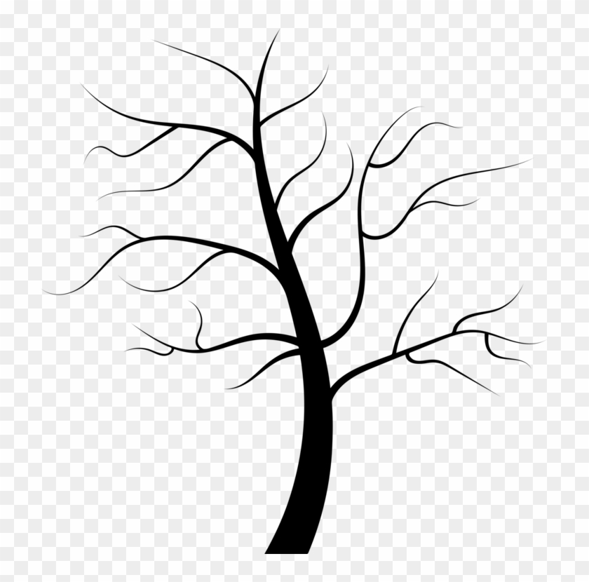 Tree Root Trunk Juglans Evergreen - Clip Art, HD Png Download - 723x750 ...
