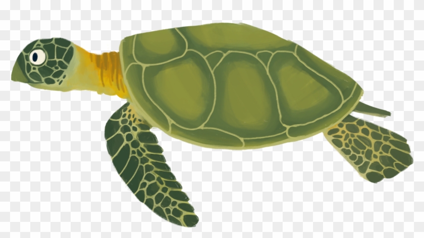 Go To Image - Animated Sea Turtle Png, Transparent Png - 1600x986 