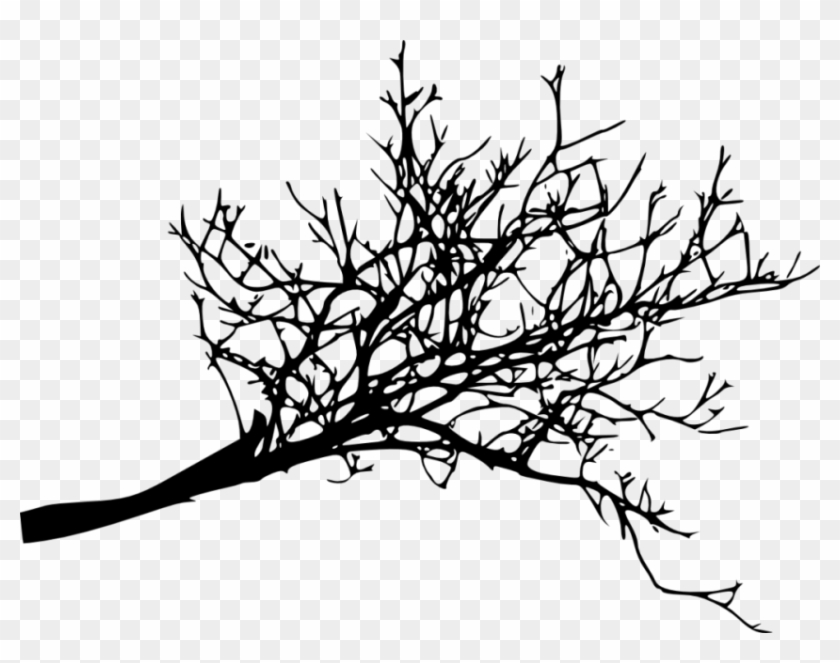 Free Png Tree Branches Silhouette Png Images Transparent Dead Tree Branches Png Png Download 850x631 9970 Pngfind